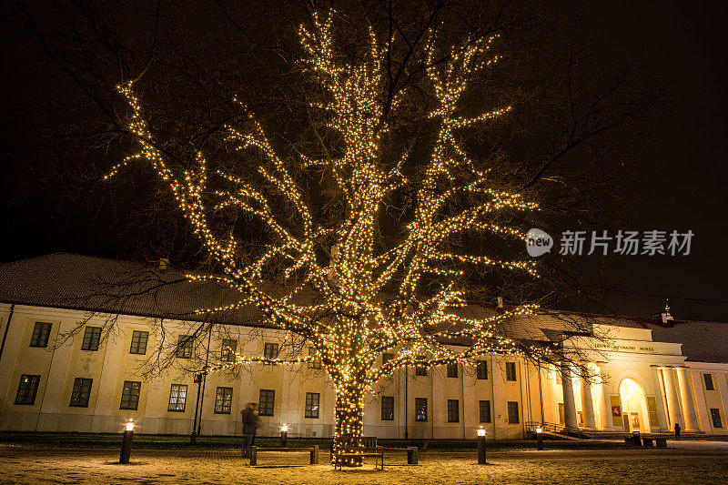 立陶宛维尔纽斯，Hermanas Perelsteinas橡树装饰圣诞节